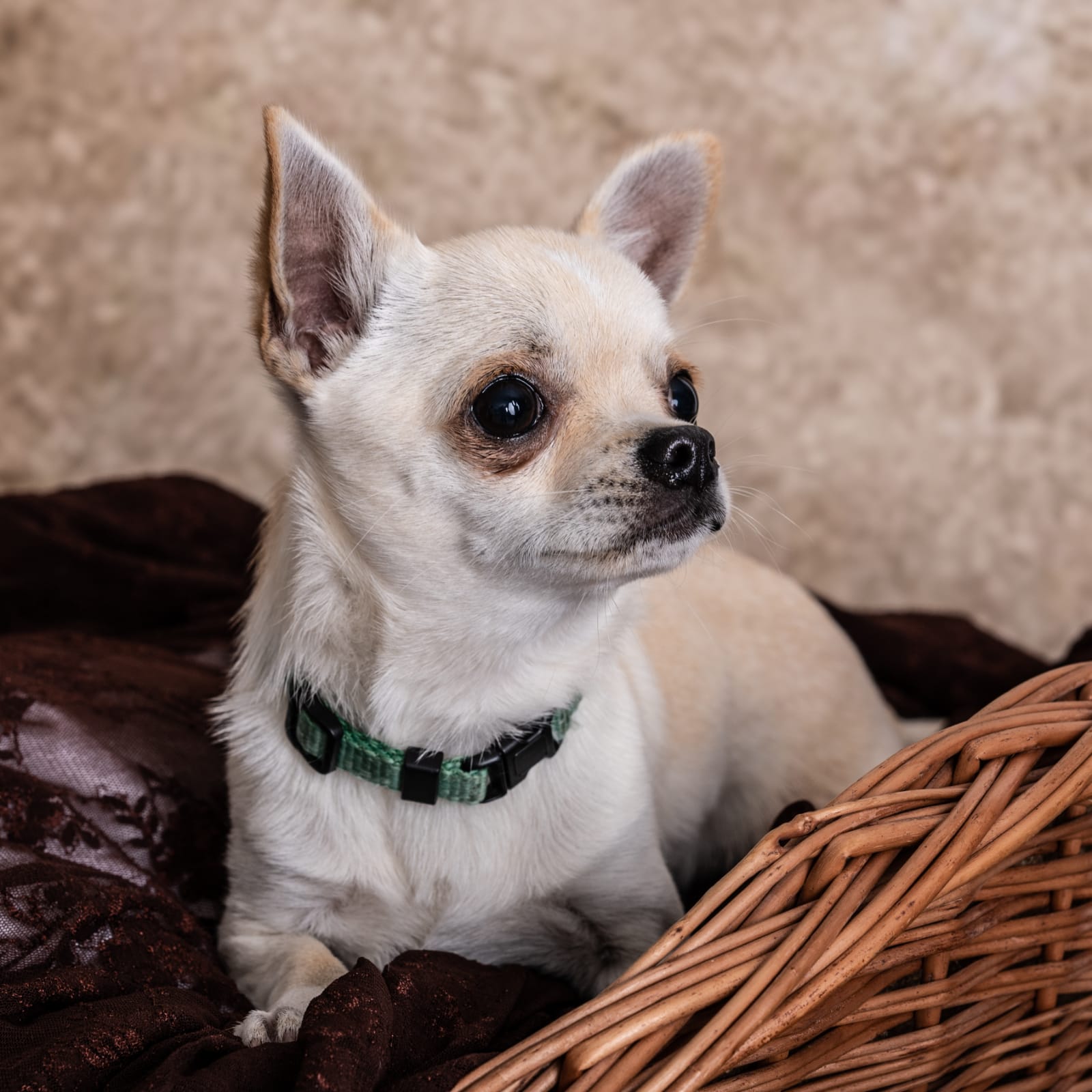 Oskar