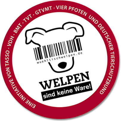 Wühltischwelpen
